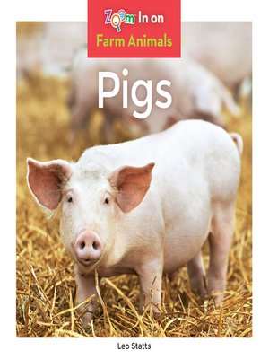 Pigs - ebook